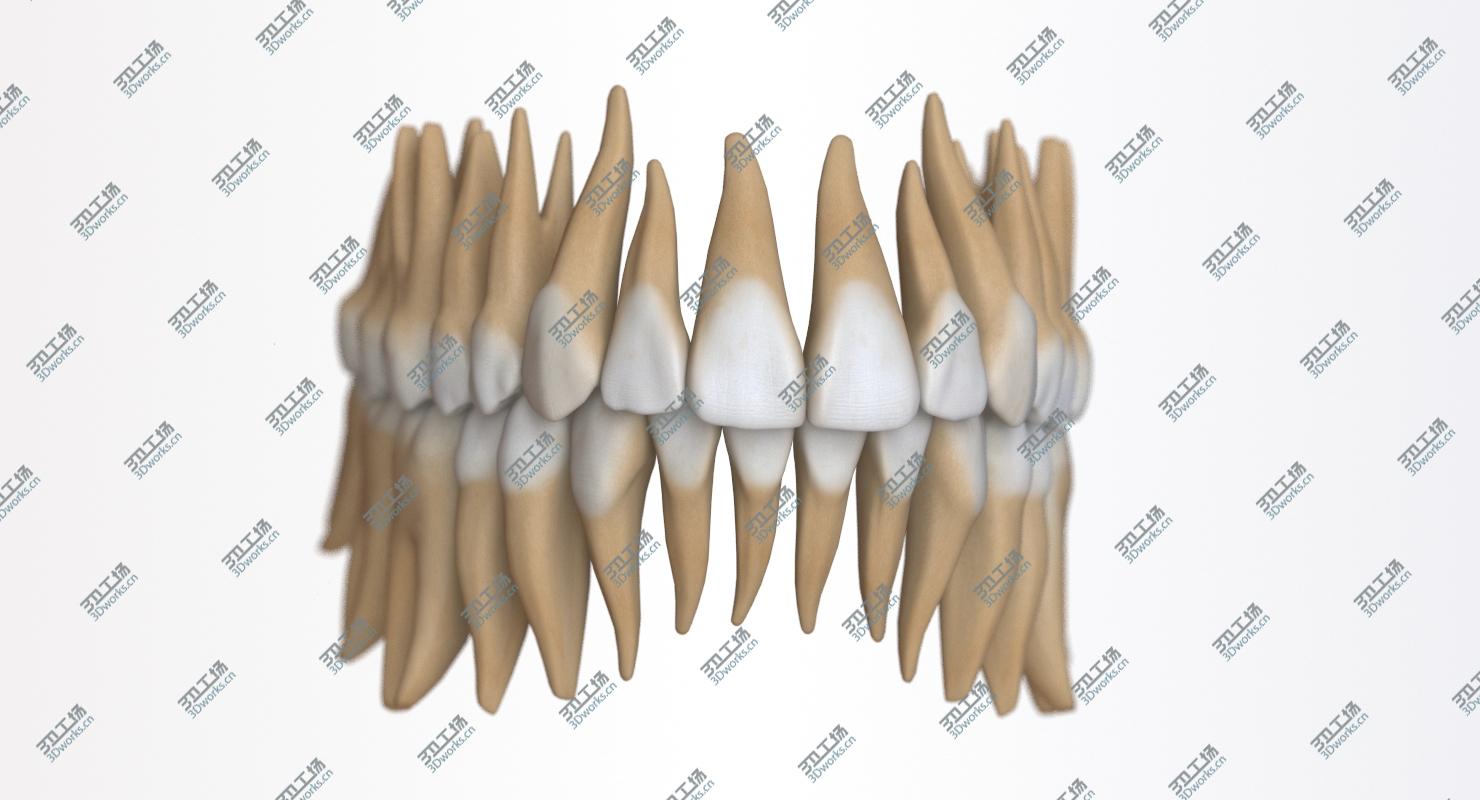 images/goods_img/2021040164/Dental Mouth Stiylzed 3D/4.jpg
